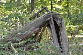 TREE (FALLEN OR BROKEN) | Symbols